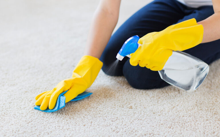 carpet-cleaning-services 1